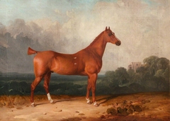 'Woodstock' a Bay Mare belonging to Arthur Jones by attributed to Thomas Bennett