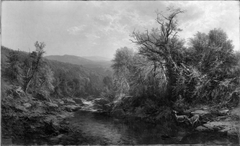 A Stream in the Adirondacks by William Hart