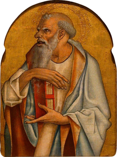 Bearded Apostle
