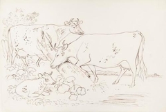 Dairy Cattle - James Howe - ABDAG002783.33 by James Howe