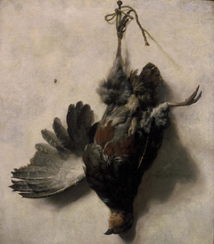 Dead partridge hanging from a nail by Jan Baptist Weenix