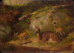 Doe and Two Fawns by Arthur Fitzwilliam Tait