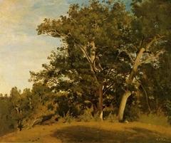 Fontainebleau – Aux gorges d'Apremont by Jean-Baptiste-Camille Corot