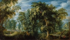Forest landscape (1622)