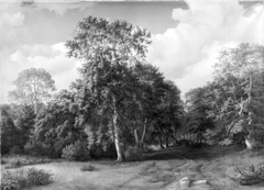 Forest Scenery from Præstevangen near Frederiksborg by Ulrich von Baudissin