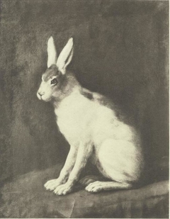 Hare by David Klöcker Ehrenstrahl