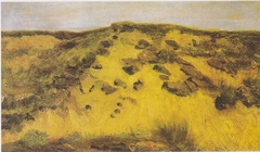 Landscape with dune