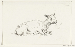 Liggend geschoren schaap, naar rechts by Jean Bernard