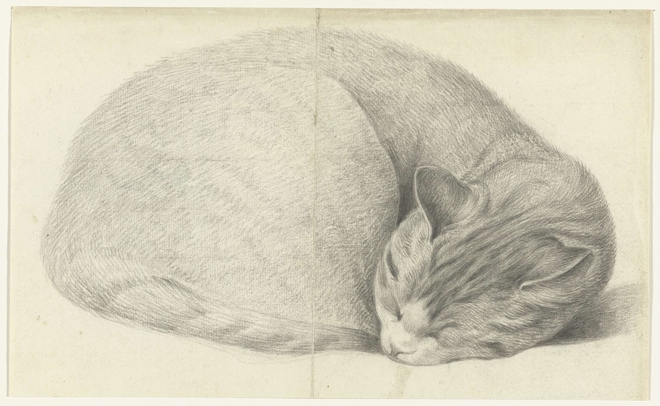 Thespian Sophie Walter Cunningham Opgerold liggende, slapende kat" Jean Bernard - Artwork on USEUM