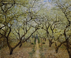 Orchard in Bloom