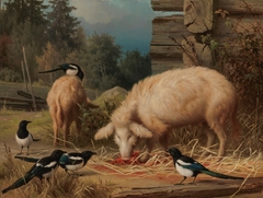 Pigs and Magpies by Ferdinand von Wright