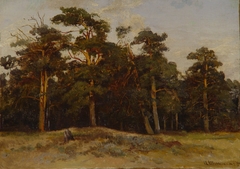 Pines by Ivan Shishkin