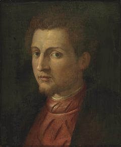 Portrait of a Bearded Man in Red Tunic by Francesco de' Rossi