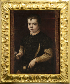 Portrait of a Boy by Francesco de' Rossi