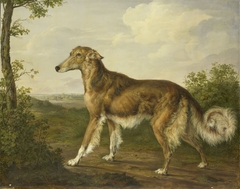 Siberian Greyhound by Jan Dasveldt