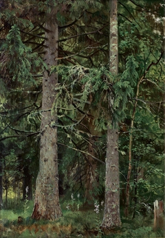 Spruce forest by Ivan Shishkin