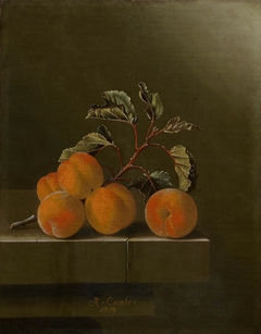 Still life with five apricots