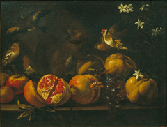 Still Life with Pomegranates, Grapes, Birds and a Squirrel