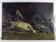 Stilleven met dode pauw en zwaan. by Johan Ernst Bäumer