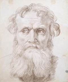 Study Of Head Of An Old Man by William Dyce - William Dyce - ABDAG003223 by William Dyce