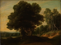 Sunken Road in a Wood by Jacques d'Arthois