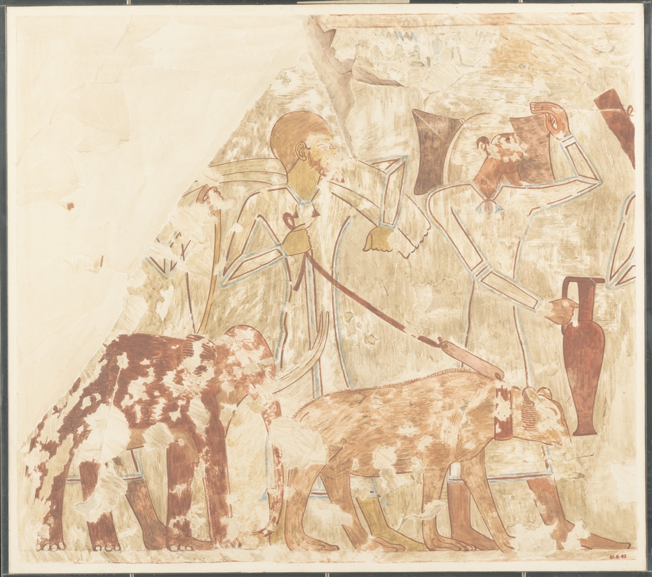 Syrians Bringing an Elephant and a Bear, Tomb of Rekhmire