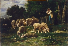 Tending the Flock
