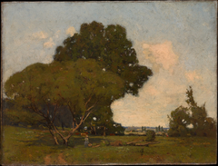 The Trees, Early Afternoon, France by William A Harper