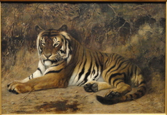 Tiger by Jean-Léon Gérôme