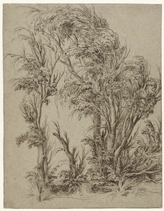 Trees in the wind by Jacob de Gheyn II