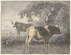 Twee koeien onder een boom aan het water by Cornelis van Noorde