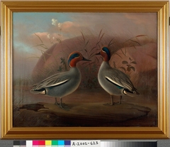 Two Male Teals by the Water by Ferdinand von Wright