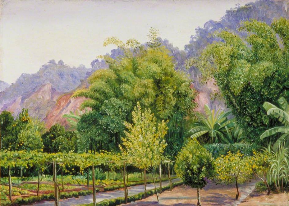 View in Mr Morit's Garden at Petropolis, Brazil