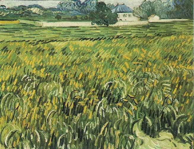Wheat Field at Auvers with House