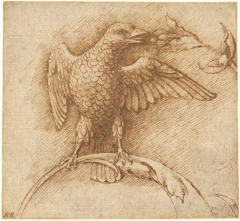 A Bird Perched on a Branch with Fruit by Andrea Mantegna