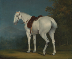 A Lady's Grey Hunter by Jacques-Laurent Agasse