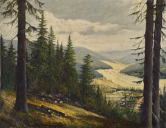 A look at the Black Forest by Karl Julius Wilhelm Heilmann