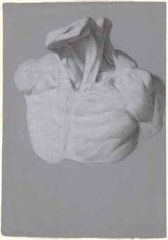 Anatomische studie van borstkas en nek by Unknown Artist