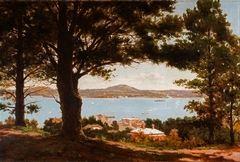 Auckland Harbour from Mt Victoria by Edward William Payton