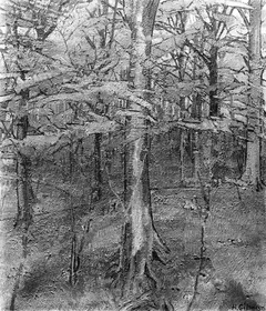 Beech Wood by Harold Gilman