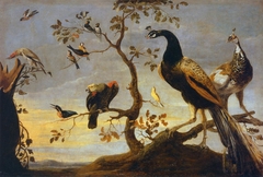 Birds in the branches by Frans Snyders