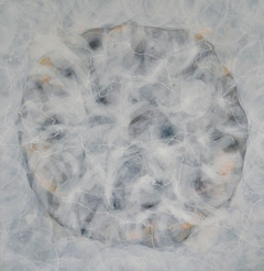 Birds through a Ceiling of Alabaster by Janet Waring Rago