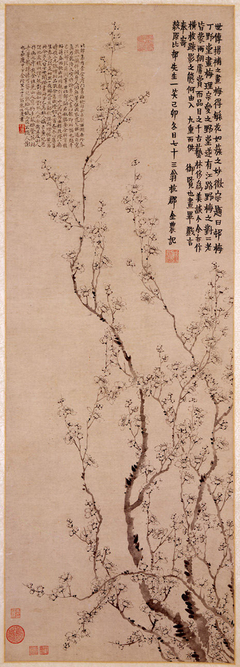 Blossoming Prunus by Jin Nong