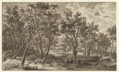 Boslandschap in het landgoed Zon, nabij Eindhoven by Ernst Willem Jan Bagelaar