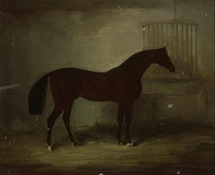 Buscot Buck in stable by Anonymous