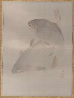 Carp swimming by Watanabe Shōtei