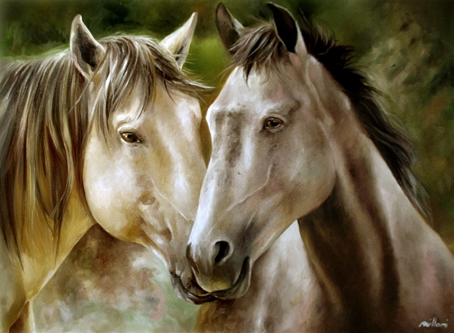 Cavalo / Horse