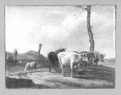 cows by Paulus Potter