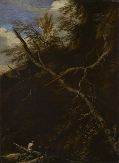 Desolate Landscape with Two Figures by Salvator Rosa