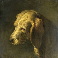 Head of a Dog by Unknown Artist